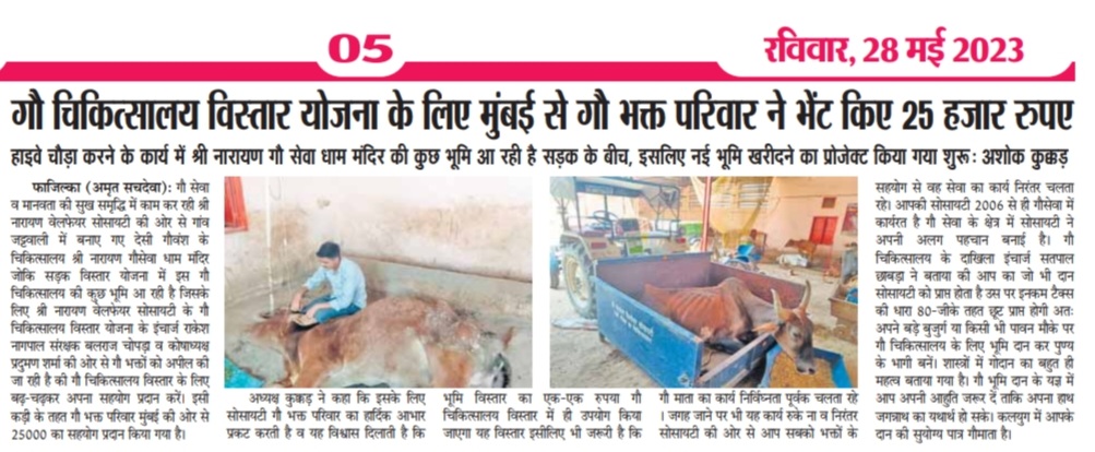 Screenshot_20230528-033305_Drive