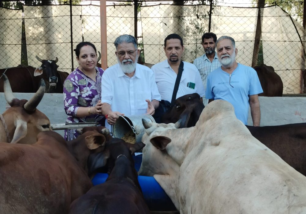 filter: 0; fileterIntensity: 0.0; filterMask: 0; brp_mask:0;
brp_del_th:null;
brp_del_sen:null;
delta:null;
module: photo;hw-remosaic: false;touch: (-1.0, -1.0);sceneMode: 8;cct_value: 0;AI_Scene: (-1, -1);aec_lux: 0.0;aec_lux_index: 0;albedo: ;confidence: ;motionLevel: -1;weatherinfo: null;temperature: 37;